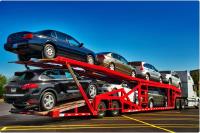 Dealers Choice Auto Transport image 8